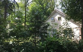 Beautiful House In The Forest